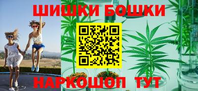 apvp Гатчина
