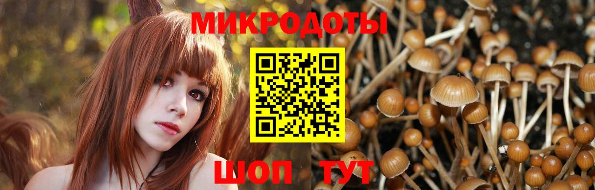 Псилоцибиновые грибы прущие грибы Сертолово
